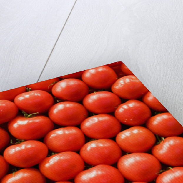 Tomatoes at Boqueria Market in Barcelona by Anonymous
