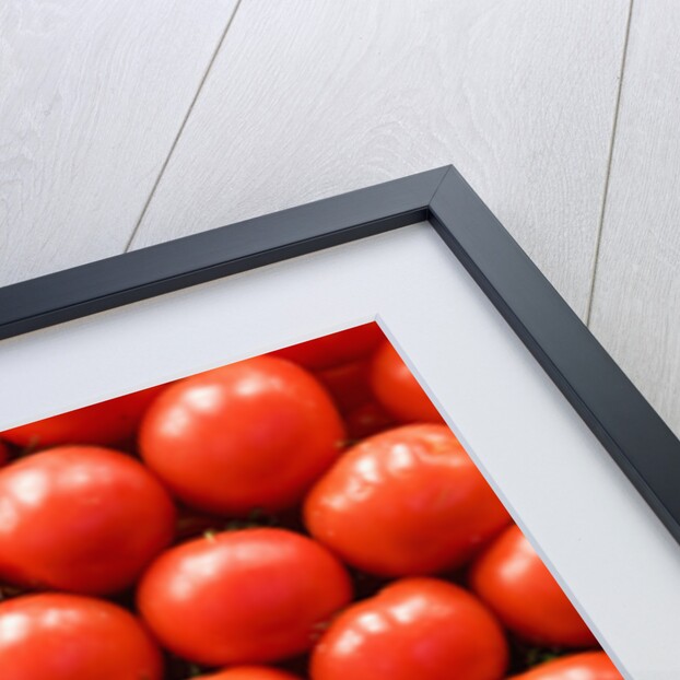 Tomatoes at Boqueria Market in Barcelona by Anonymous