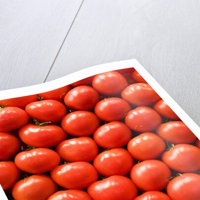 Tomatoes at Boqueria Market in Barcelona by Anonymous