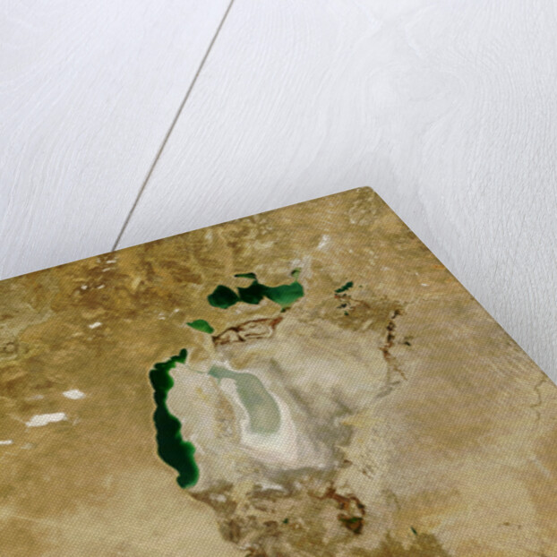 Low Earth Orbit View of the Aral Sea by Anonymous