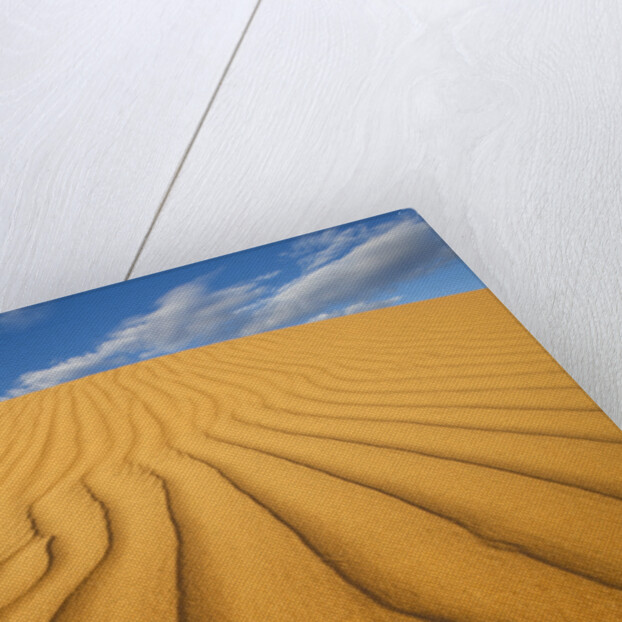 Sand Dune in the Kalahari Desert by Anonymous