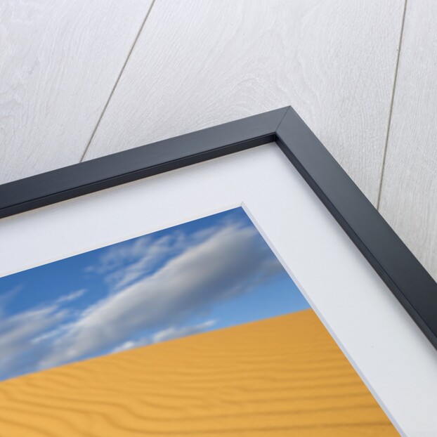Sand Dune in the Kalahari Desert by Anonymous