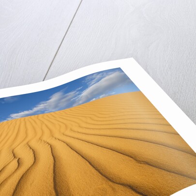 Sand Dune in the Kalahari Desert by Anonymous