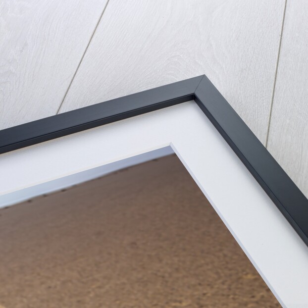 Tire Tracks on the Skeleton Coast by Anonymous