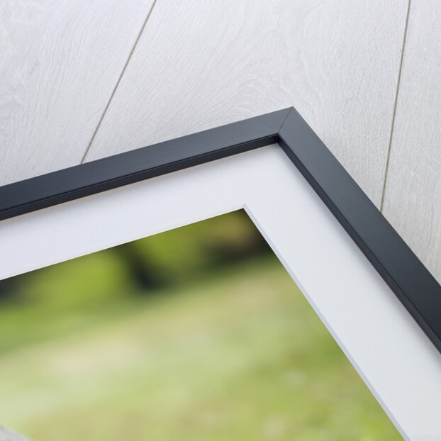 Hippopotamus in Chobe National Park by Anonymous