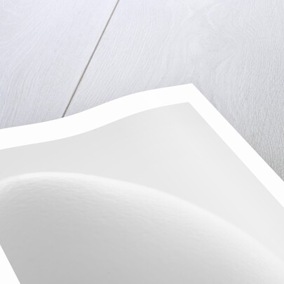 White egg by Anonymous