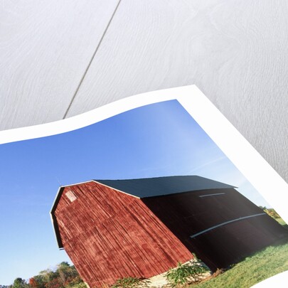 Barn in a field by Anonymous
