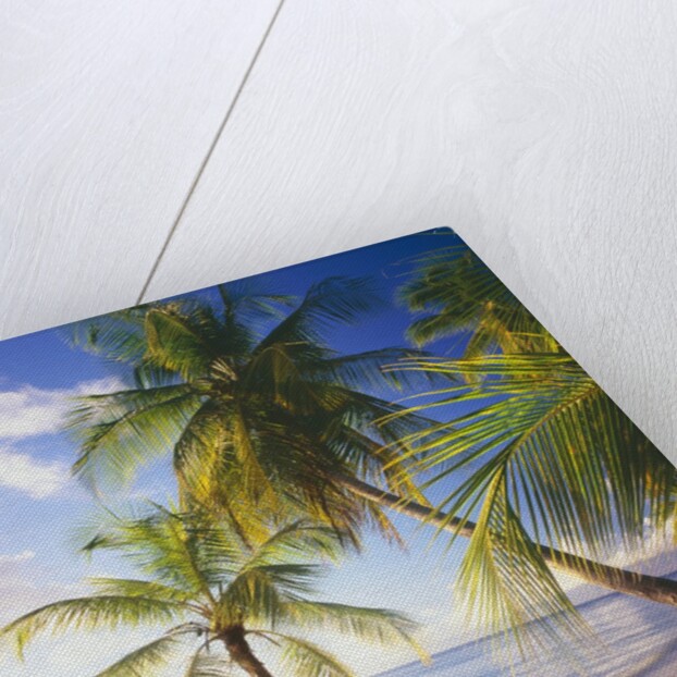 Pigeon Point Beach, Island of Tobago by Anonymous