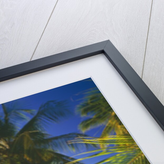 Pigeon Point Beach, Island of Tobago by Anonymous