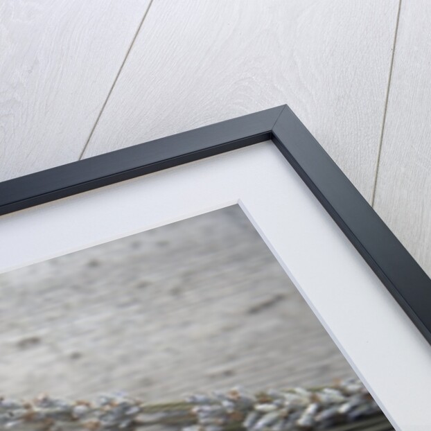 Lavender by Anonymous