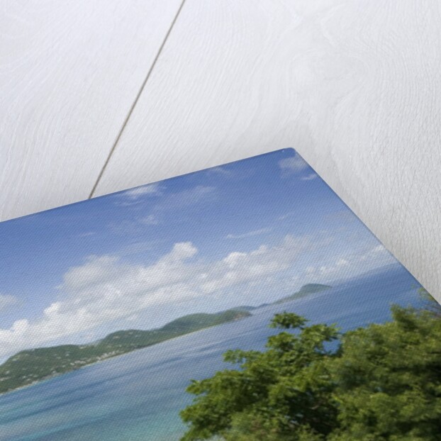 Carrot Bay, Tortola, British Virgin Islands by Anonymous