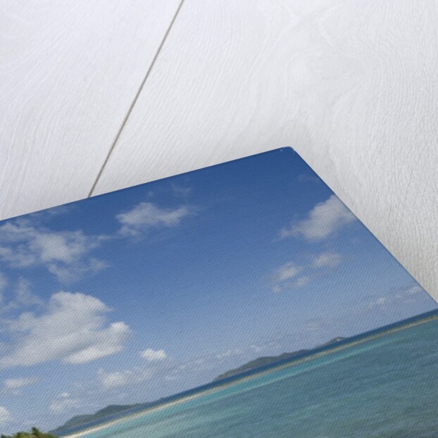 Beach at Well Bay, Beef Island, Tortola, British Virgin Islands by Anonymous