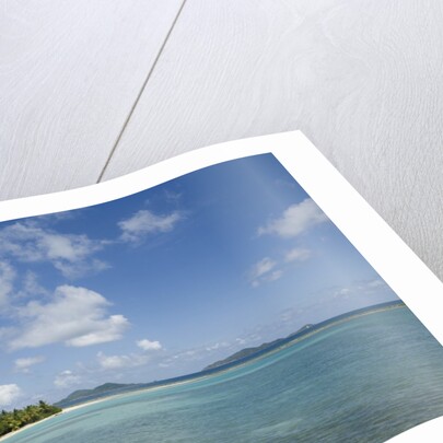 Beach at Well Bay, Beef Island, Tortola, British Virgin Islands by Anonymous