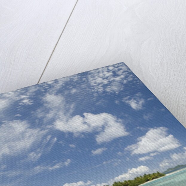 Beach at Well Bay, Beef Island, Tortola, British Virgin Islands by Anonymous