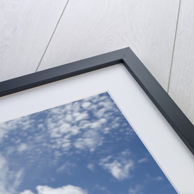 Beach at Well Bay, Beef Island, Tortola, British Virgin Islands by Anonymous