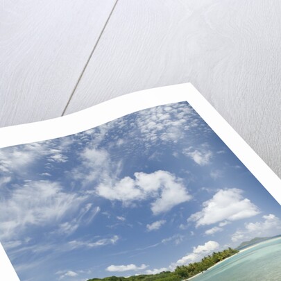 Beach at Well Bay, Beef Island, Tortola, British Virgin Islands by Anonymous