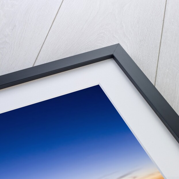 View of Chicago from Sears Tower by Anonymous