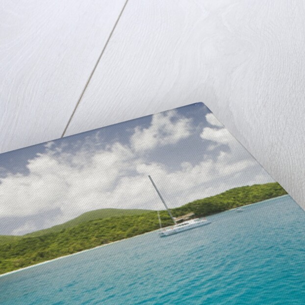 Woman Snorkeling in Hawksnest Bay at St. John Island by Anonymous