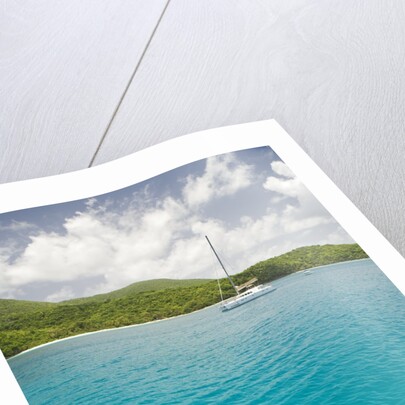 Woman Snorkeling in Hawksnest Bay at St. John Island by Anonymous