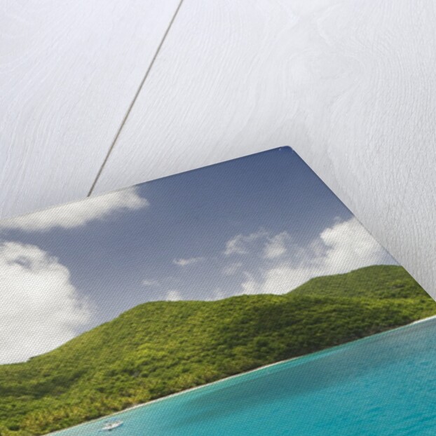Snorkeling in Hawksnest Bay at St. John Island by Anonymous