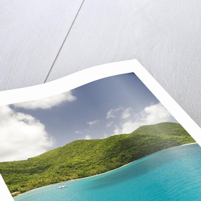 Snorkeling in Hawksnest Bay at St. John Island by Anonymous