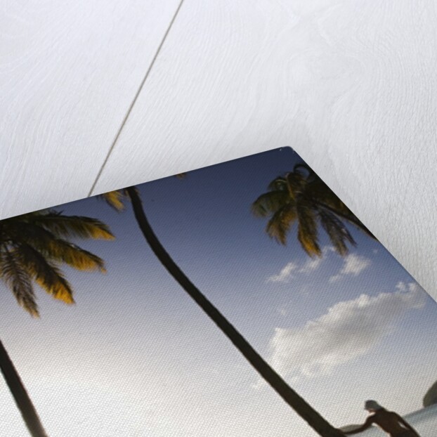 Woman Standing on Beach on Maho Bay by Anonymous