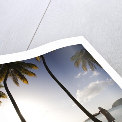 Woman Standing on Beach on Maho Bay by Anonymous