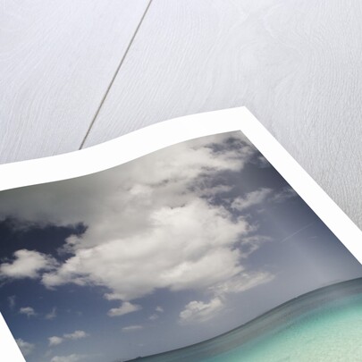 Couple Snorkeling in Cinnamon Bay at St. John Island by Anonymous