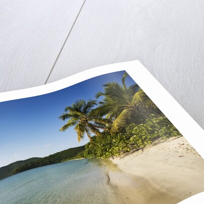 Maho Bay Beach by Anonymous