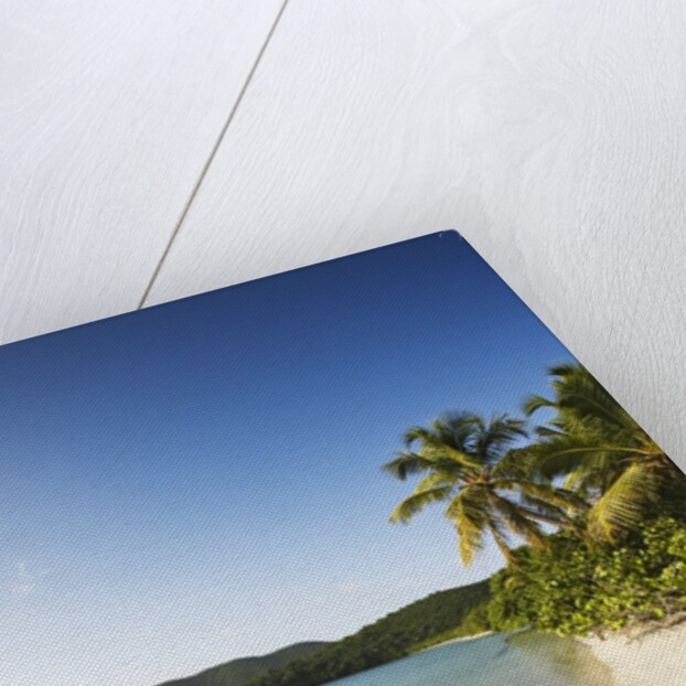 Beach on Maho Bay by Anonymous