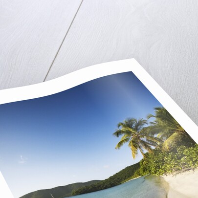 Beach on Maho Bay by Anonymous