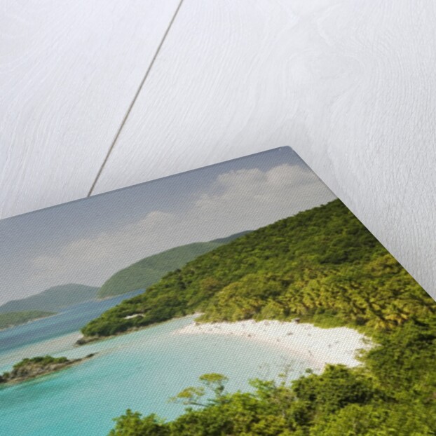 Trunk Bay at St. John Island in U. S. Virgin Islands by Anonymous