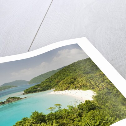 Trunk Bay at St. John Island in U. S. Virgin Islands by Anonymous