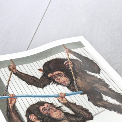 Illustration of Two Chimps Playing by Anonymous