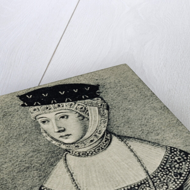 Portrait of Barbara Radziwillowna by Anonymous