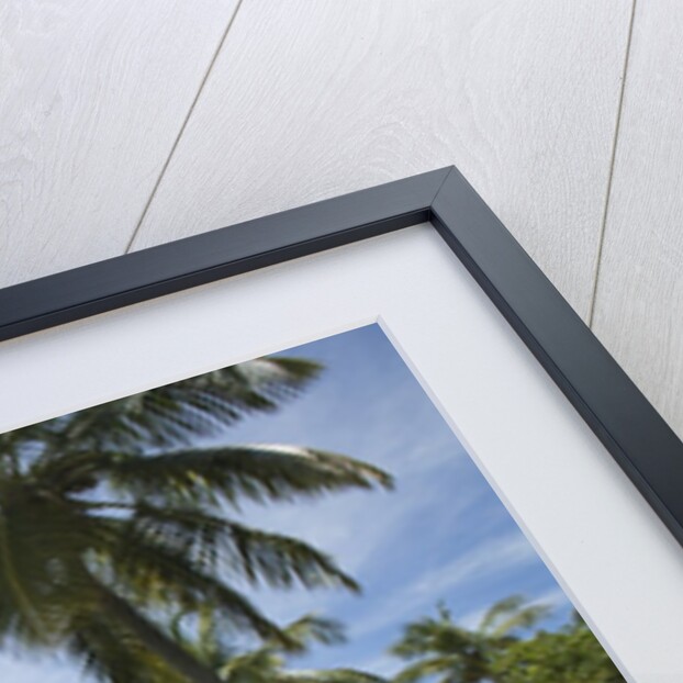 Little Dix Bay, Virgin Gorda, British Virgin Islands by Anonymous