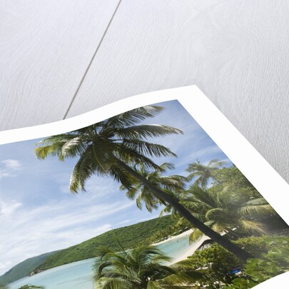Little Dix Bay, Virgin Gorda, British Virgin Islands by Anonymous