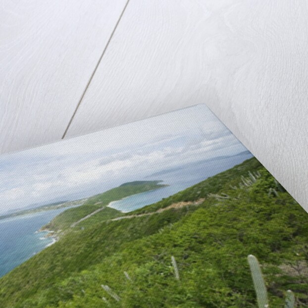 Hills and Ocean View on Virgin Gorda by Anonymous