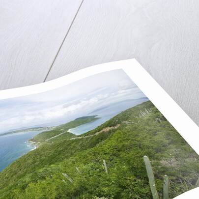 Hills and Ocean View on Virgin Gorda by Anonymous