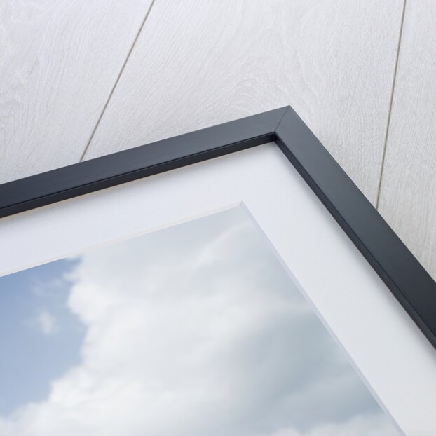 Sugar Mill in St. Croix by Anonymous