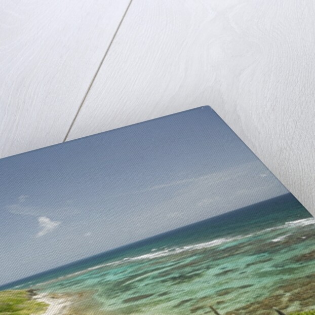 Countryside and Ocean on St. Croix by Anonymous