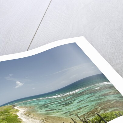 Countryside and Ocean on St. Croix by Anonymous