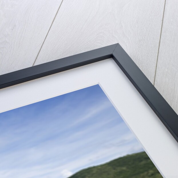 North Sound, Virgin Gorda by Anonymous