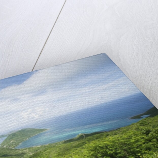 Hilltop and Ocean on Virgin Gorda by Anonymous
