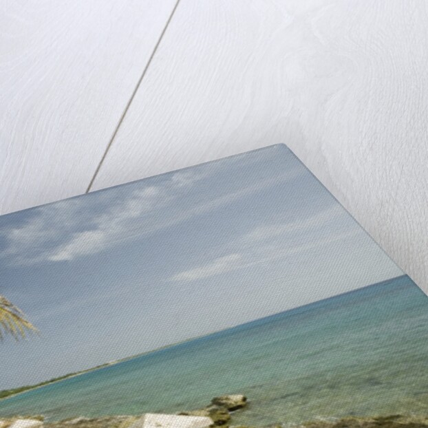 Waterfront Path on Beach by Anonymous