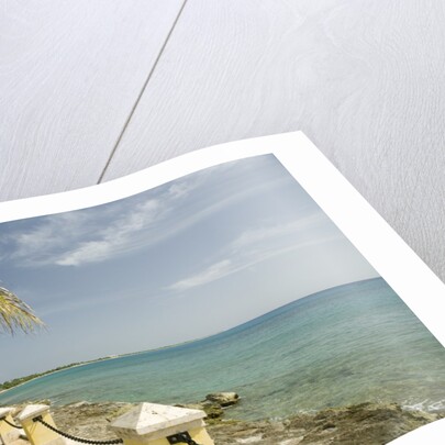 Waterfront Path on Beach by Anonymous