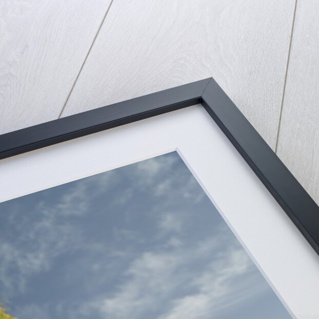 Waterfront Path on Beach by Anonymous