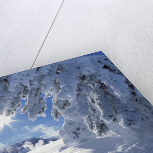 Snowy Landscape in Yellowstone by Anonymous