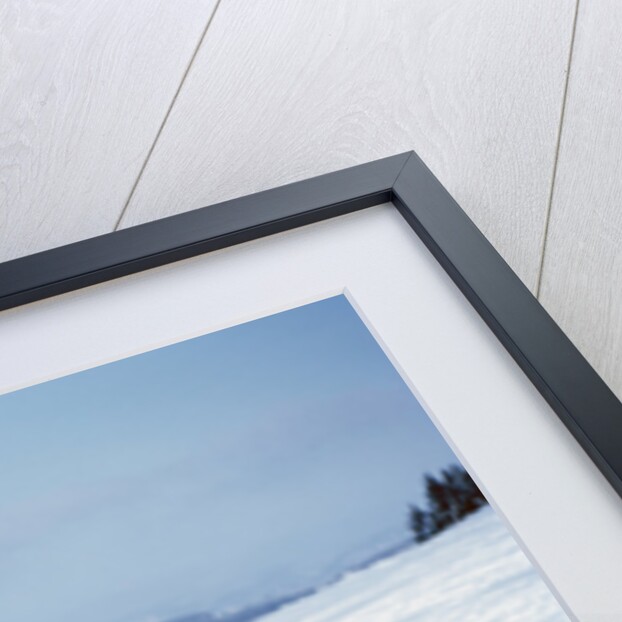 Germany - Bielefeld - 1960's child plays in snow by Anonymous