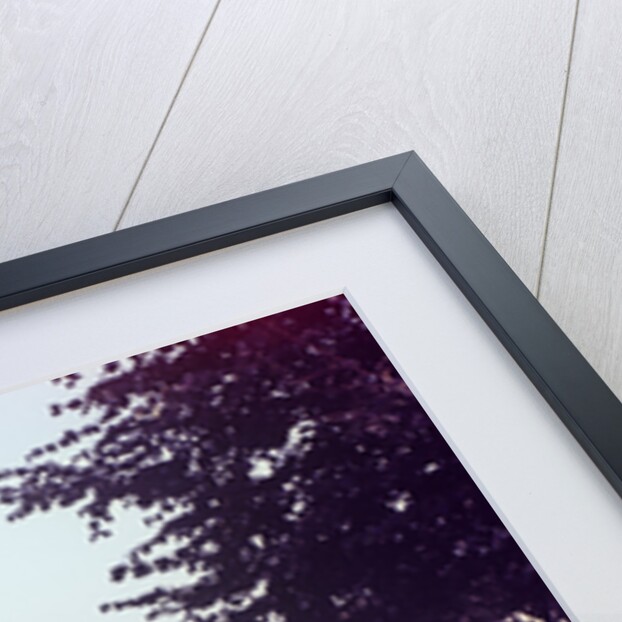 Germany - Bielefeld - 1960's girl portrait by Anonymous